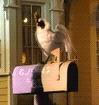 Reference still of Chicken on mailbox on Living with the Land
