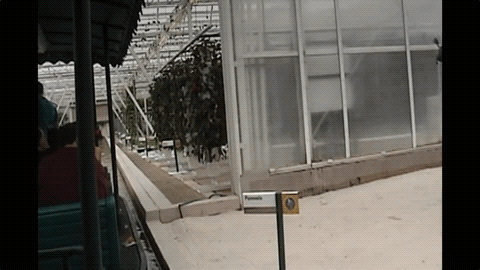 Reference still of Garage door entering creative greenhouse on Living with the Land
